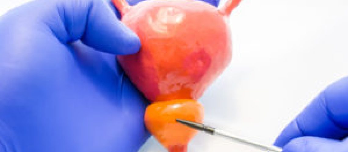 Doctor, scientist, teacher or expert on anatomy indicates pointe