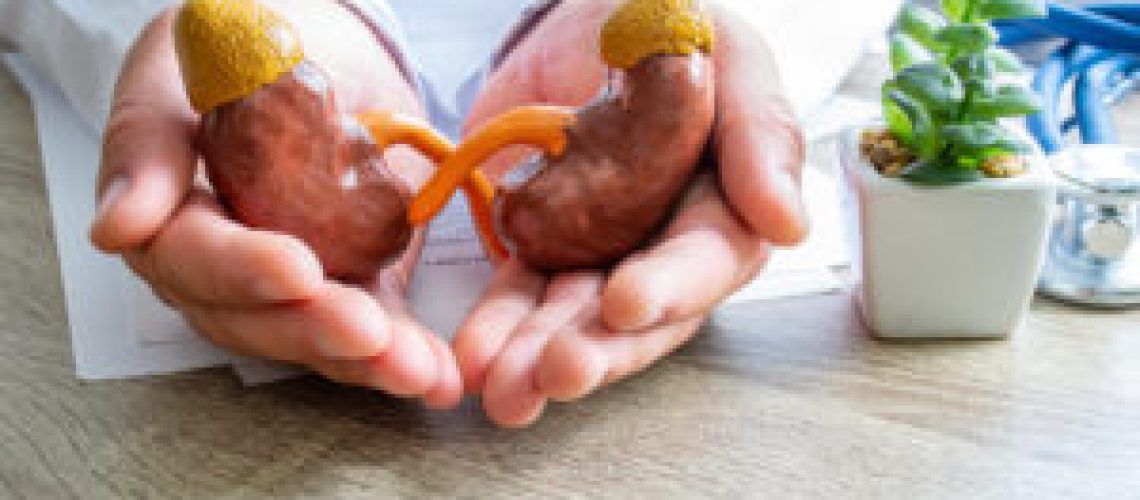 Protection, treatment, prevention and patronage health in nephro