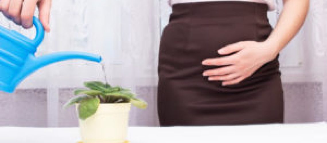 A girl is watering a flower in the office from a watering can and holding on to the bladder, the concept of urinary incontinence in women, urology and gynecology, kidney disease, copy space, syndrome