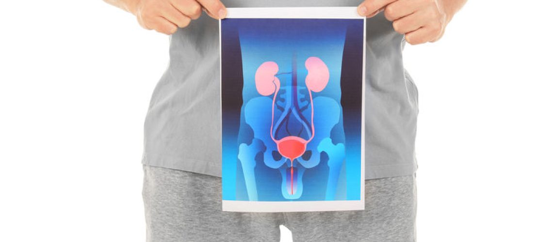 Mature man holding picture of urinary system on white background